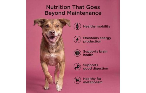 *New*GO! Dog Healthy Aging Salmon & Duck w/Grains 3.5lb