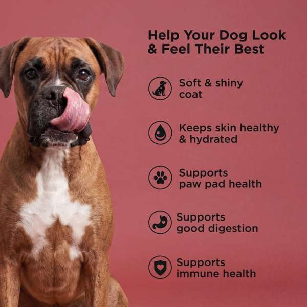 *New*GO! Dog Skin & Coat Beef w/Grains 12lb