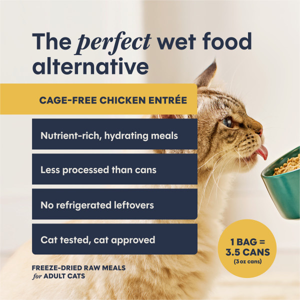 Instinct Cat Fresh Dried Pates Chicken Entree 3oz