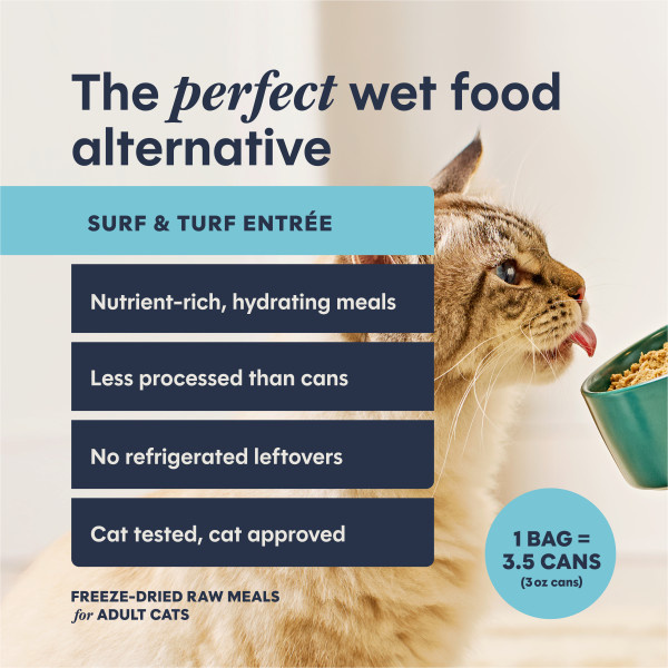 Instinct Cat Fresh Dried Pates Surf & Turf Entree 3oz
