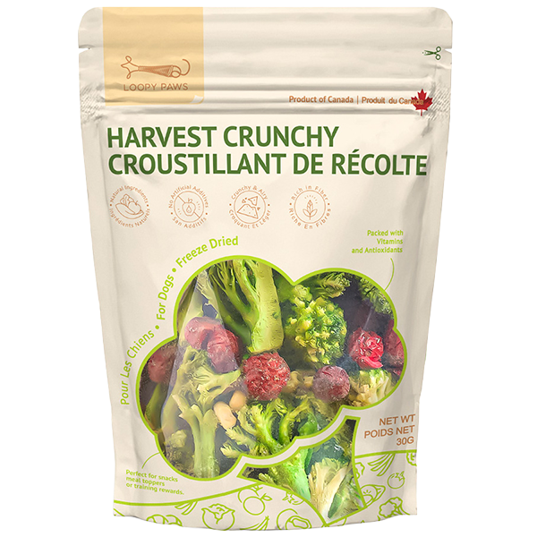 Loopy Paws Dog Crunchy Broccoli Corn & Cranberry 30g