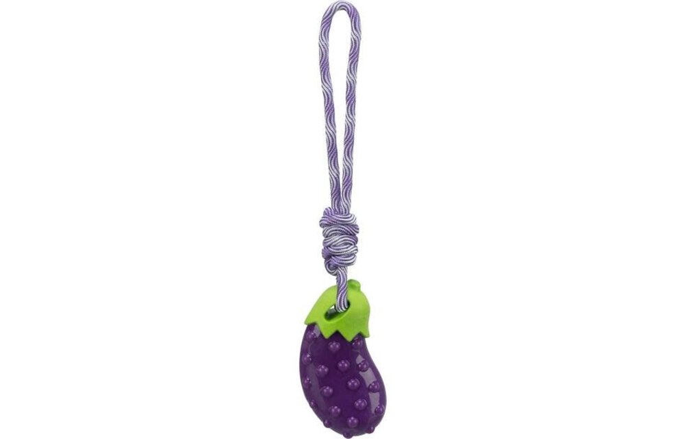 Trixie Eggplant On A Rope