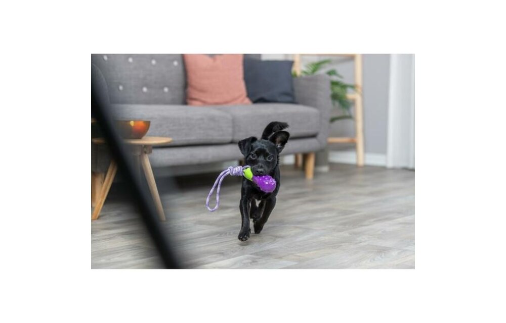 Trixie Eggplant On A Rope