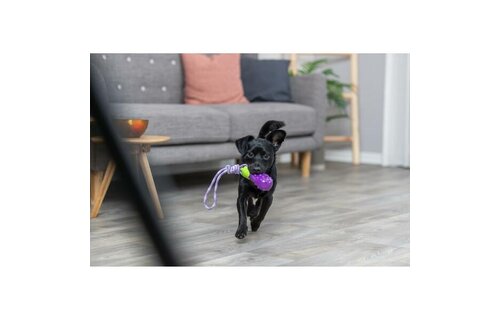 Trixie Eggplant On A Rope