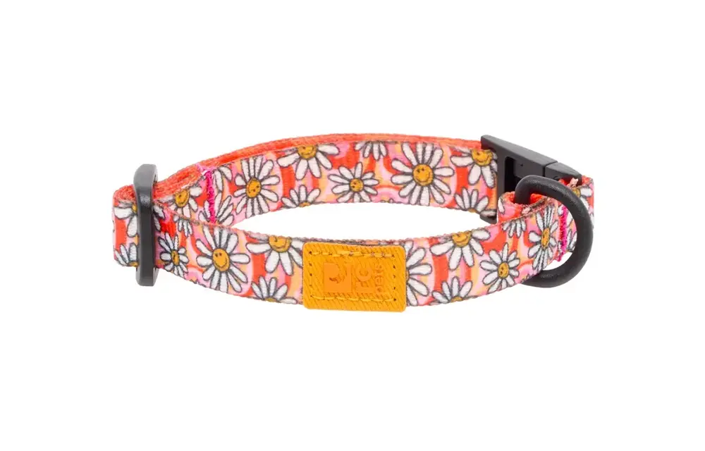 *New*RC Pets Eco Breakaway Cat Collar Daisy Joy