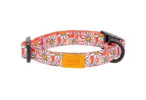 *New*RC Pets Eco Breakaway Cat Collar Daisy Joy