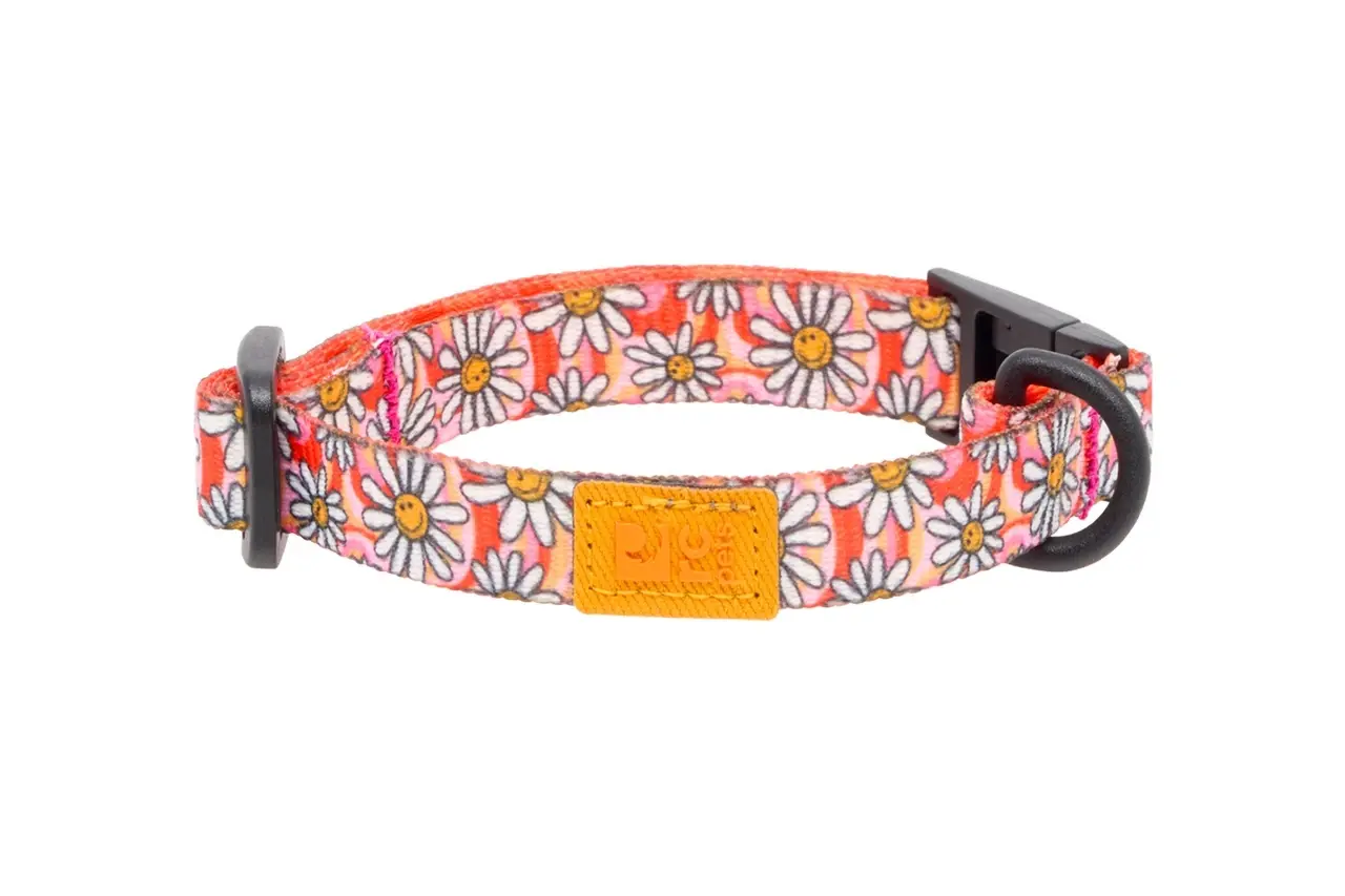 *New*RC Pets Eco Breakaway Cat Collar Daisy Joy