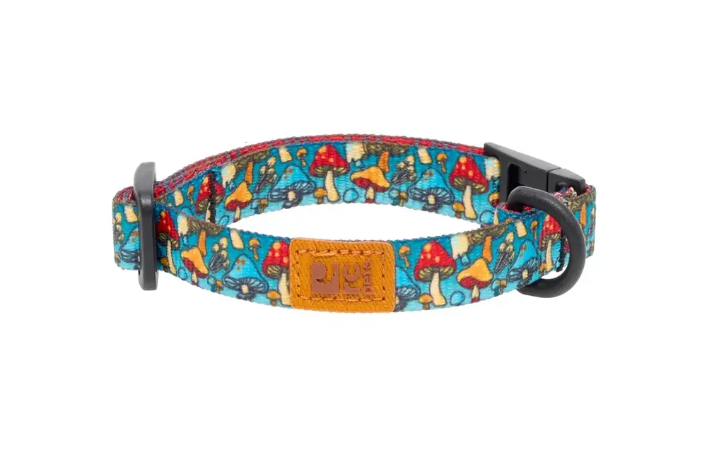 *New*RC Pets Eco Breakaway Cat Collar Funky Fungi