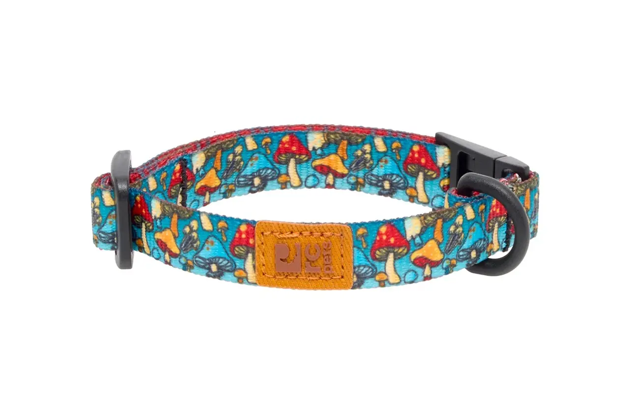 *New*RC Pets Eco Breakaway Cat Collar Funky Fungi