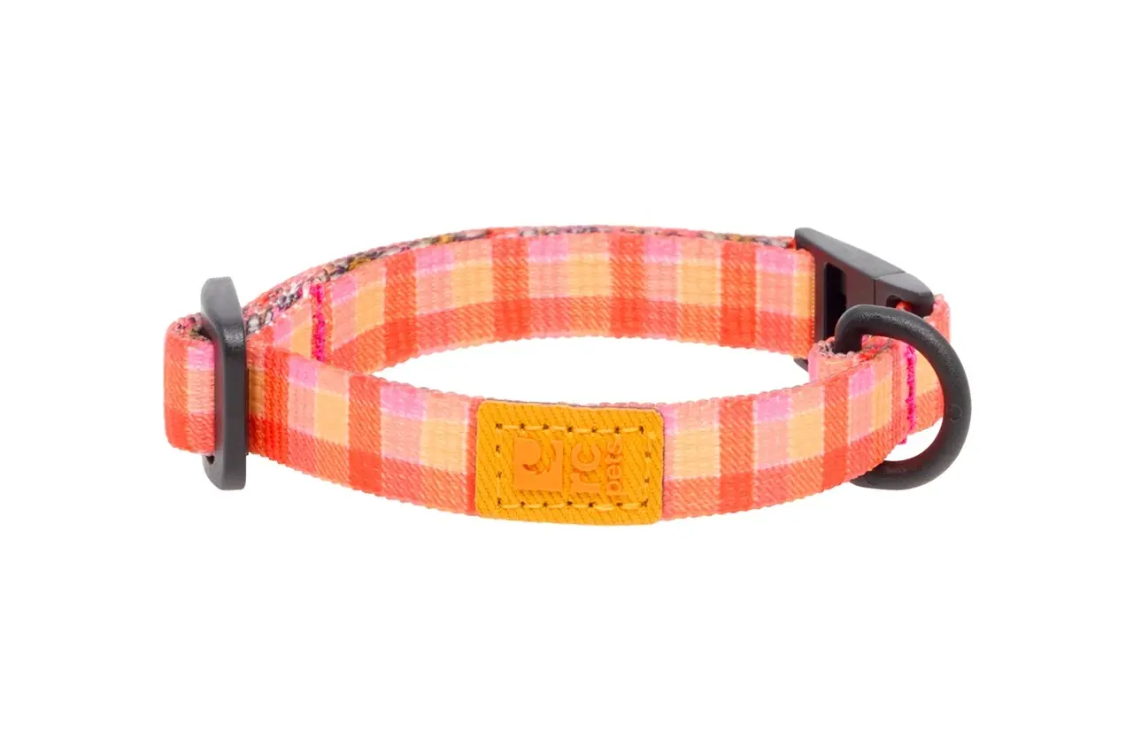 *New*RC Pets Eco Breakaway Cat Collar Gleeful Gingham