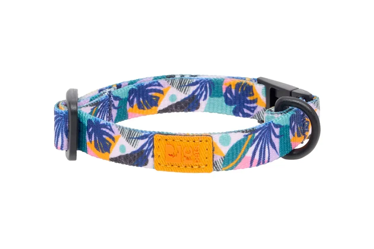 *New*RC Pets Eco Breakaway Cat Collar Mystic Monstera