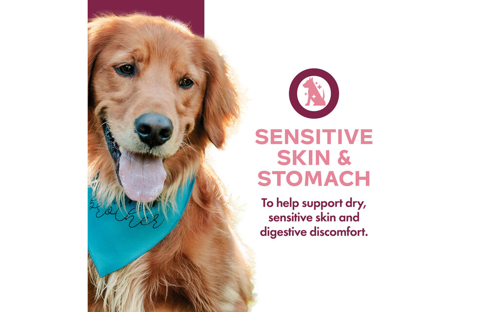 Fromm Dog Nutritionals Supplement Sensitive Skin & Stomach Pate 13oz
