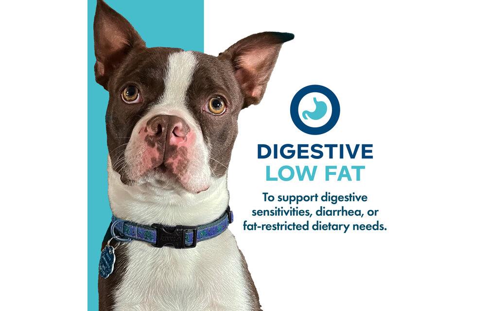 Fromm Dog Nutritionals Supplement Digestive Support LowFat 13oz