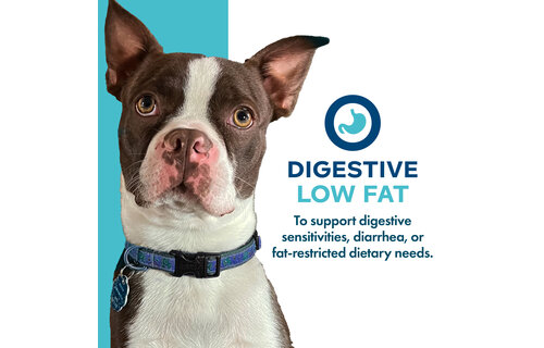 Fromm Dog Nutritionals Supplement Digestive Support LowFat 13oz