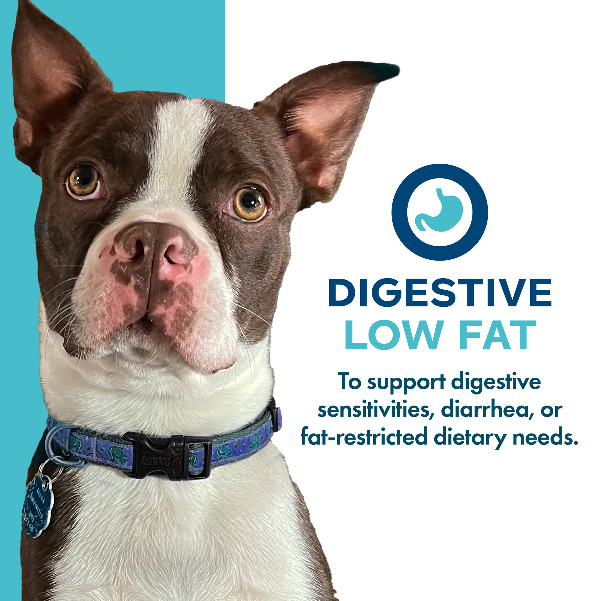 Fromm Dog Nutritionals Supplement Digestive Support LowFat 13oz
