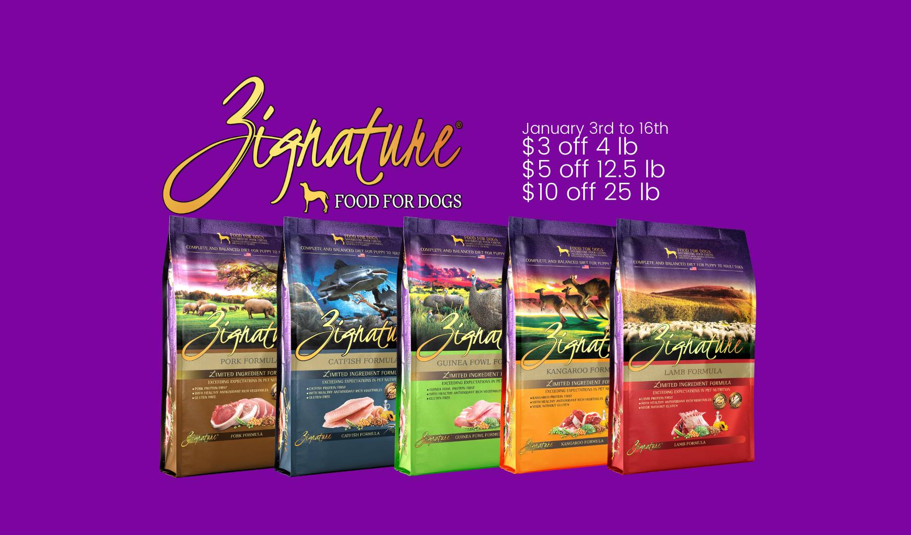 bristly brushing stick canada