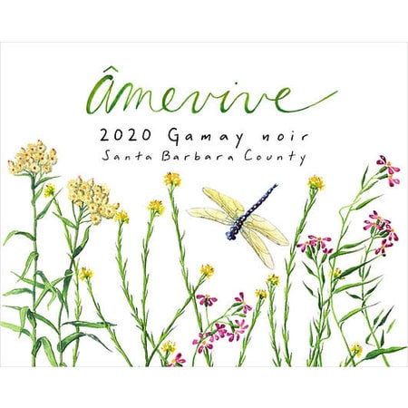 Amevive Gamay Santa Barbara 2020