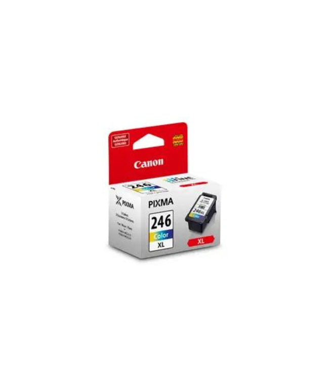 CANON 246XL  ORIGINALE