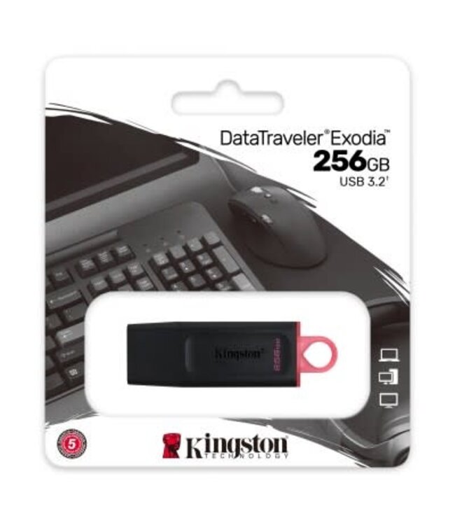 Kingston DataTraveler Exodia 256GB USB