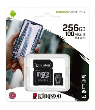Kingston MicroSD SDCS2-256GB