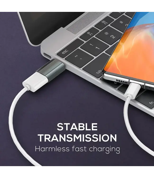 LDNIO ADAPTATEUR RAPIDE TYPE-C VERS USB FEMELLE (LC140)