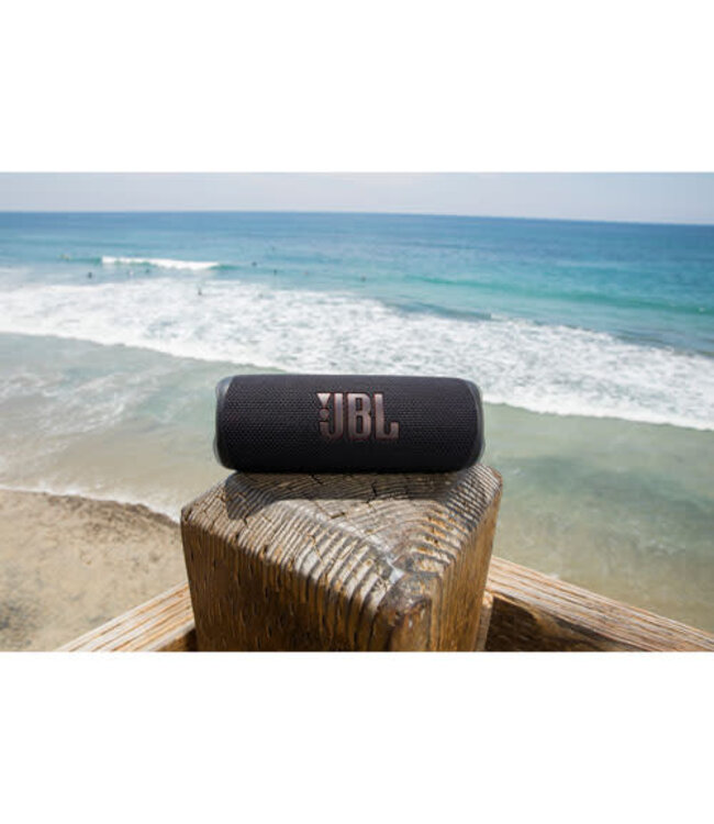 JBL FLIP 6