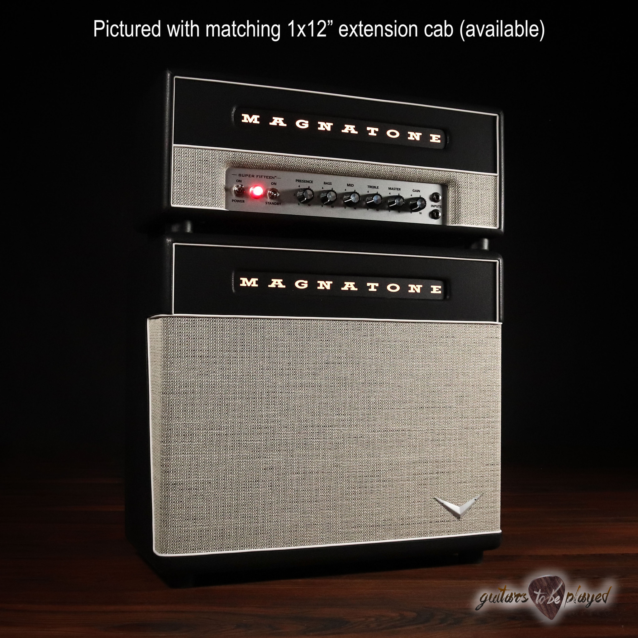 Magnatone Super Fifteen 15Watt Tube Amp Head w/ Cover Guitars To Be Played