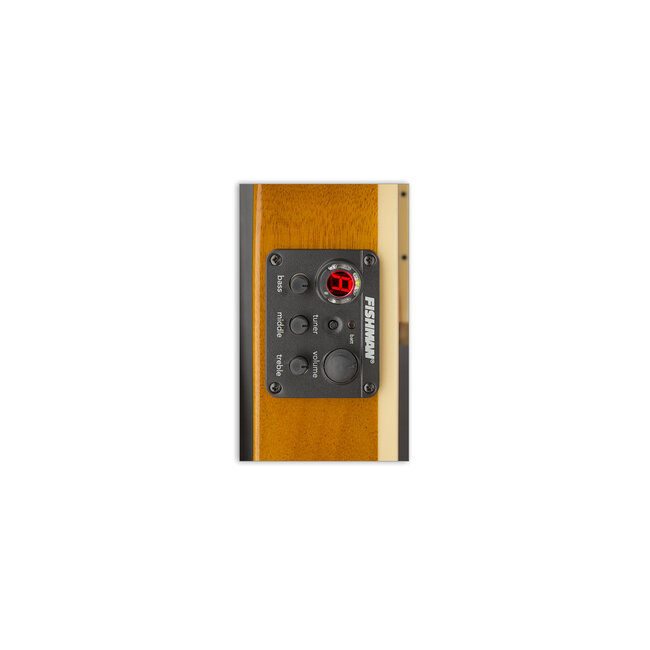 ESP LTD TL-6N Thinline Nylon String Acoustic/Electric Guitar – Natural