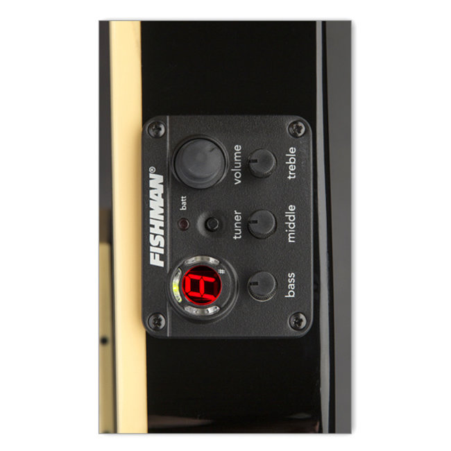 ESP LTD TL-7 Thinline 7-String Acoustic/Electric Guitar - Black