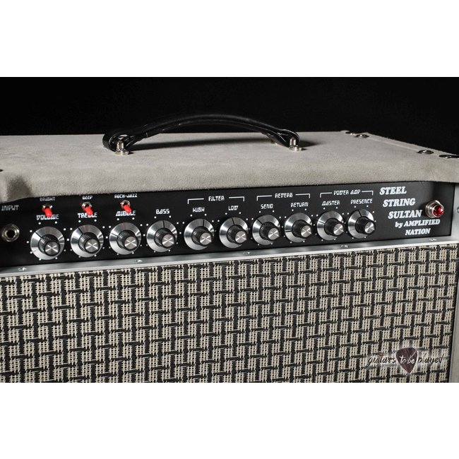 Amplified Nation Steel String Sultan 50W Head & 112 Cab – Silver Suede