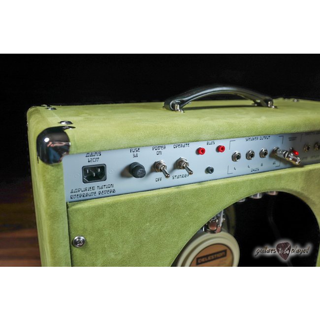 Amplified Nation Overdrive Reverb 50W 112 Combo – Angry Phrogg Suede