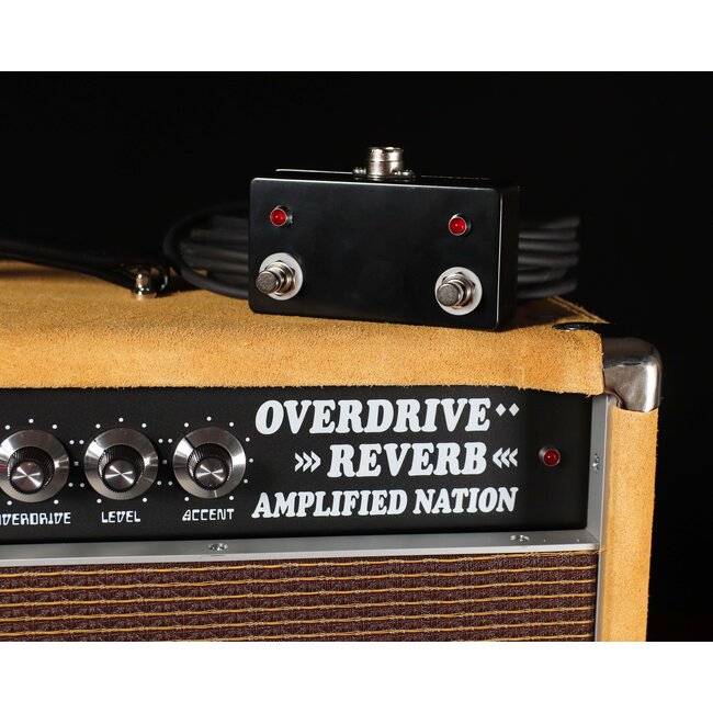 Amplified Nation Overdrive Reverb 100W Head – Buckskin Suede