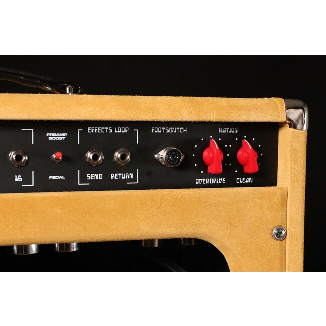 Amplified Nation Overdrive Reverb 100W Head – Buckskin Suede