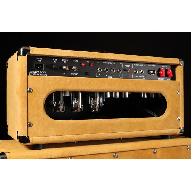 Amplified Nation Overdrive Reverb 100W Head – Buckskin Suede