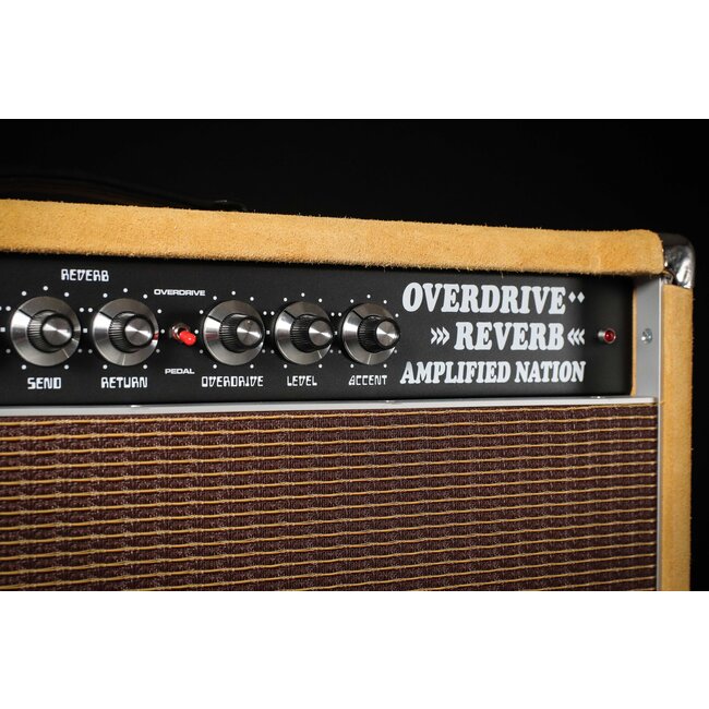 Amplified Nation Overdrive Reverb 100W Head – Buckskin Suede