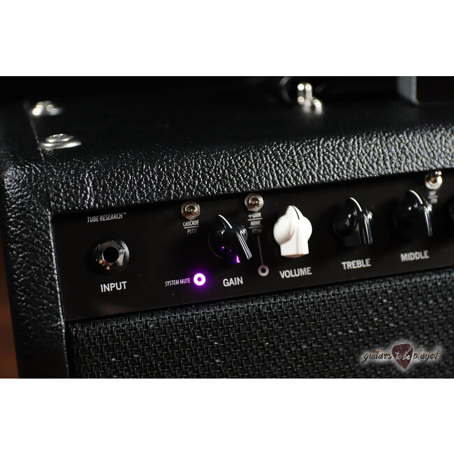 3rd Power Dirty Sink 6VEL Head w/ Footswitch – Black w/ Black Grill