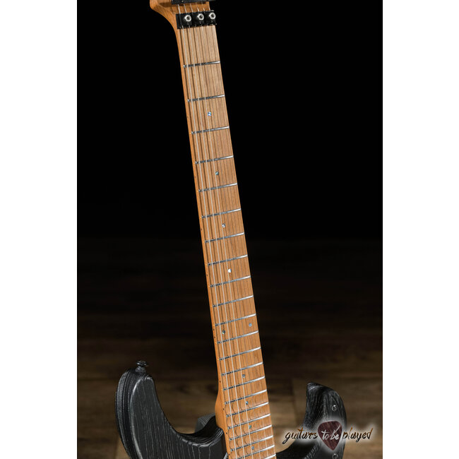 ESP LTD SN-1000FR Swamp Ash Floyd Rose Guitar – Black Blast
