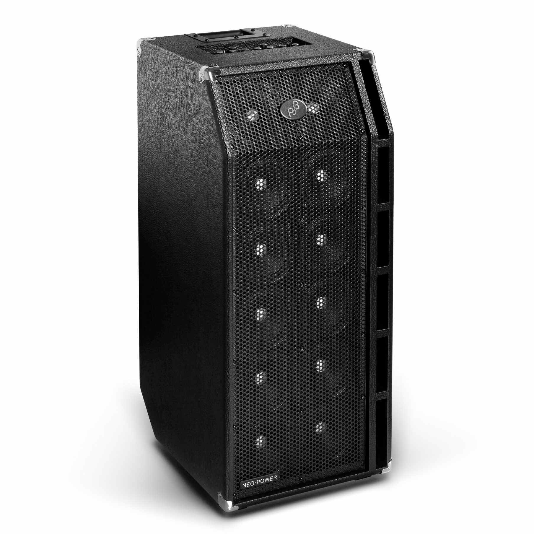 Phil Jones Bass BG-800 Roadcase 950W 12x5 Phil Jones Bass BG-800 Roadcase 950W 12x5