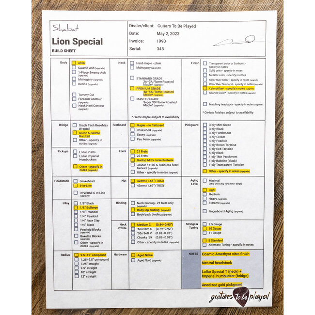 Shabat Lion Special Flame Maple Neck w/ Lollar Special & HB – Cosmic Amethyst