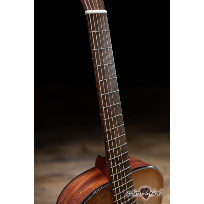Breedlove Organic Series Signature Companion Copper E