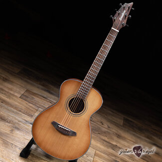 Used Breedlove Signature Companion Copper E