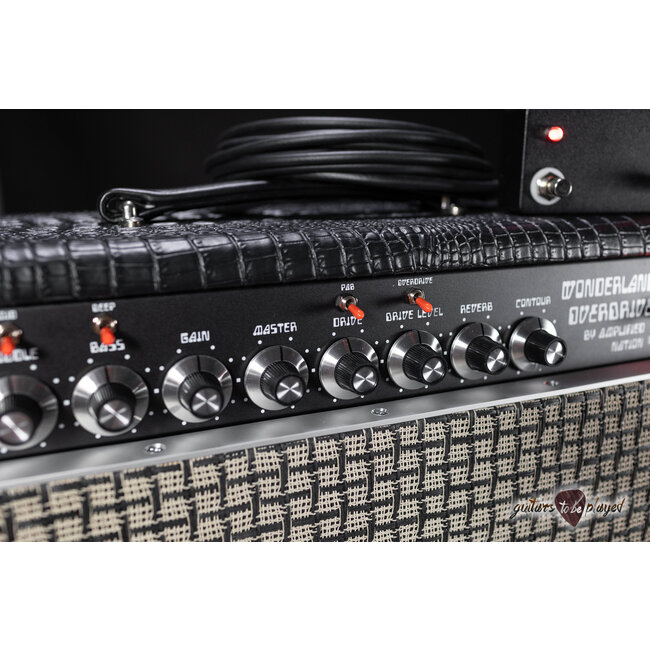 Amplified Nation Wonderland Overdrive V2 Tube-Rect. 50W Head & Cab – Black Croc