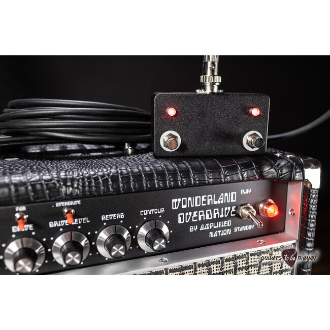 Amplified Nation Wonderland Overdrive V2 Tube-Rect. 50W Head & Cab – Black Croc