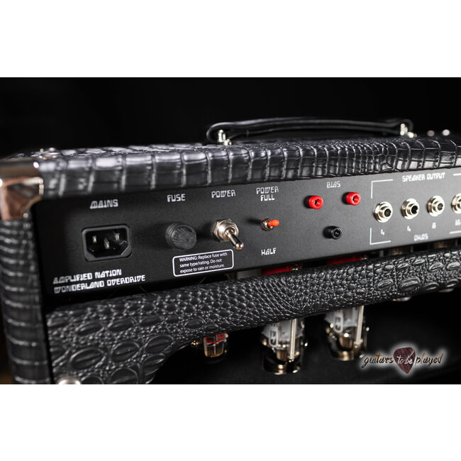 Amplified Nation Wonderland Overdrive V2 Tube-Rect. 50W Head & Cab – Black Croc