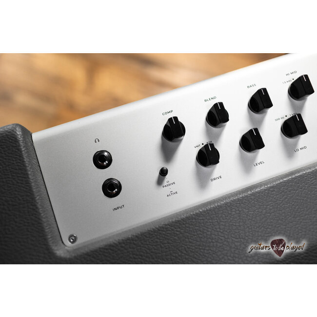 Darkglass DG210A Microtubes 500 Watt 2x10” Bass Combo Amp