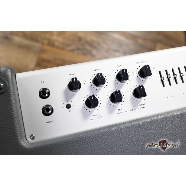 Darkglass DG112D Infinity 500 Watt 1x12” Bass Combo Amp