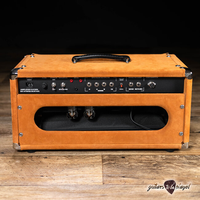 Amplified Nation Six String Sustain 50W Head – Golden Brown Suede