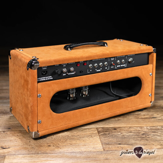 Amplified Nation Six String Sustain 50W Head – Golden Brown Suede