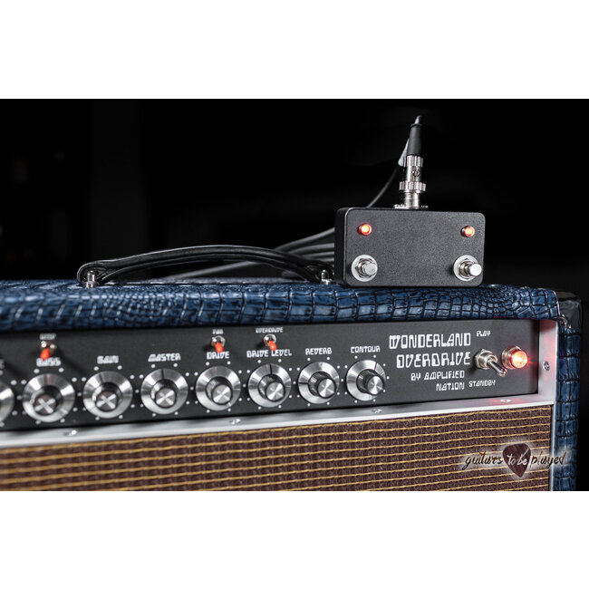 Amplified Nation Wonderland Overdrive V2 Tube-Rectified 50W Combo – Blue Croc