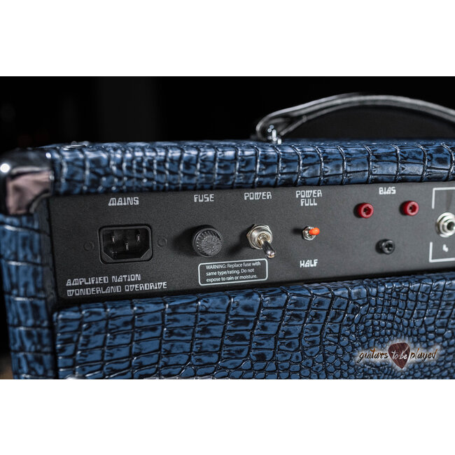 Amplified Nation Wonderland Overdrive V2 Tube-Rectified 50W Combo – Blue Croc